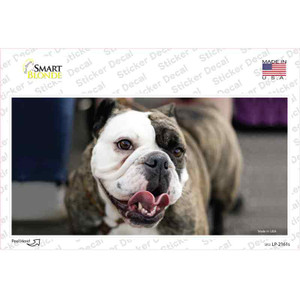 Bulldog Dog Wholesale Novelty Sticker Decal