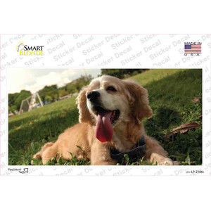 Cocker Spaniel Dog Wholesale Novelty Sticker Decal