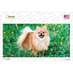 Pomeranian Dog Wholesale Novelty Sticker Decal