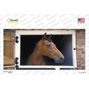 Horse In Barn Wholesale Novelty Sticker Decal