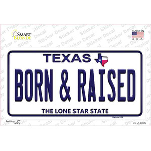 Born and Raised Texas Wholesale Novelty Sticker Decal