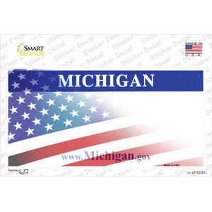 Michigan with American Flag Wholesale Novelty Sticker Decal