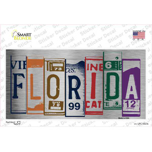 Florida Art Wholesale Novelty Sticker Decal