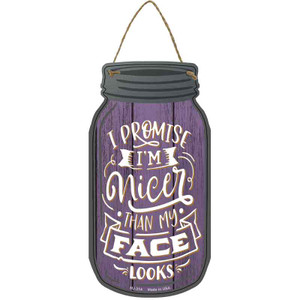 Nicer Than My Face Wholesale Novelty Metal Mason Jar Sign