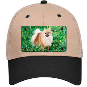 Pomeranian Dog Wholesale Novelty License Plate Hat