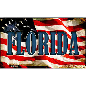 Florida Wholesale Novelty Metal Magnet