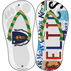 MA Flag|Celtics Strip Art Wholesale Novelty Metal Flip Flops (Set of 2)