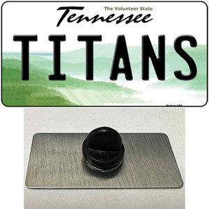 Titans Tennessee State Wholesale Novelty Metal Hat Pin