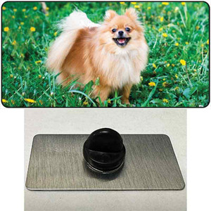 Pomeranian Dog Wholesale Novelty Metal Hat Pin