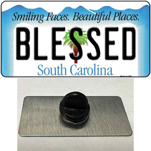 Blessed South Carolina Blue Wholesale Novelty Metal Hat Pin