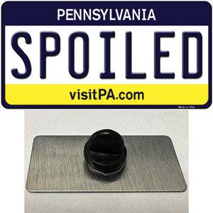 Spoiled Pennsylvania State Wholesale Novelty Metal Hat Pin