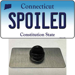 Spoiled Connecticut Wholesale Novelty Metal Hat Pin