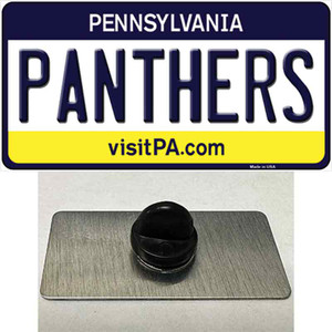 Panthers Wholesale Novelty Metal Hat Pin