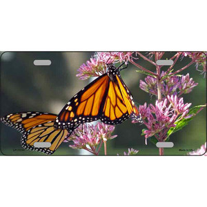 Butterfly Monarch On Flower Wholesale Novelty Metal License Plate