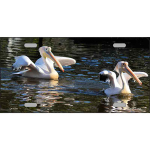 Pelican Two On Water Wholesale Novelty Metal License Plate