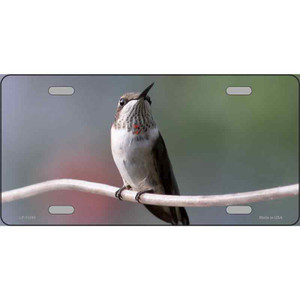 Hummingbird Perched On Branch Wholesale Novelty Metal License Plate