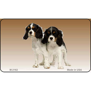 Cavalier King Charles Spaniel Wholesale Magnet M-2162