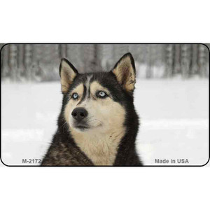 Husky Wholesale Magnet M-2172