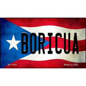 Boricua Puerto Rico State Flag Wholesale Magnet M-11393