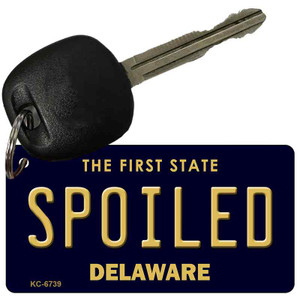 Spoiled Delaware State License Plate Wholesale Key Chain