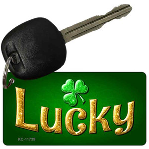 Lucky Irish Wholesale Novelty Key Chain