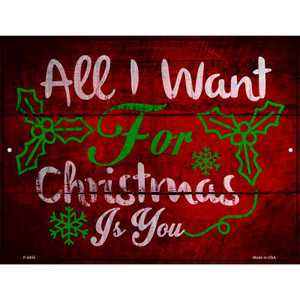 All I Want For Christmas Wholesale Novelty Metal Parking Sign
