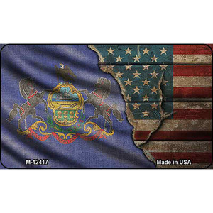 Pennsylvania/American Flag Wholesale Novelty Metal Magnet M-12417