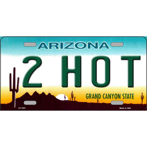 2 Hot Arizona Novelty Wholesale Metal License Plate