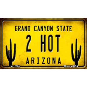 Arizona 2 Hot Wholesale Novelty Metal Magnet M-12324