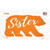 Sister Orange Wholesale Novelty Bear Sticker Decal