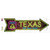 Texas Neon Wholesale Novelty Arrow Sticker Decal