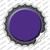 Purple Wholesale Novelty Bottle Cap Sticker Decal