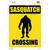 Sasquatch Crossing Wholesale Novelty Rectangle Sticker Decal