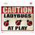 Caution Lady Bugs At Play Wholesale Novelty Rectangle Sticker Decal