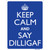 Keep Calm Say DILLIGAF Wholesale Novelty Rectangle Sticker Decal