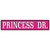 Princess Dr. Wholesale Novelty Narrow Sticker Decal
