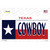 Cowboy Texas Flag Wholesale Novelty Sticker Decal