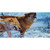 Wintertime Wolf Wholesale Novelty Sticker Decal