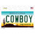 Cowboy Arizona Wholesale Novelty Sticker Decal