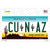 Cu N Az Wholesale Novelty Sticker Decal