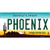 Phoenix Arizona Wholesale Novelty Sticker Decal