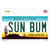 Sun Bum Arizona Wholesale Novelty Sticker Decal