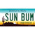 Sun Bum Arizona Wholesale Novelty Sticker Decal