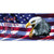 God Bless The USA Eagle Wholesale Novelty Sticker Decal