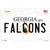 Falcons Georgia State Wholesale Novelty Sticker Decal