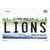 Lions Michigan State Wholesale Novelty Sticker Decal