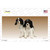 Cavalier King Charles Spaniel Dog Wholesale Novelty Sticker Decal