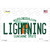 Lightning Florida State Wholesale Novelty Sticker Decal