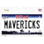 Mavericks Texas State Wholesale Novelty Sticker Decal