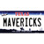 Mavericks Texas State Wholesale Novelty Sticker Decal